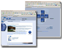 sdiconline.com